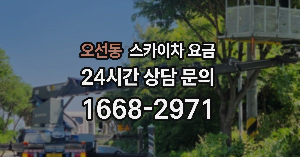 오선동 스카이차 요금