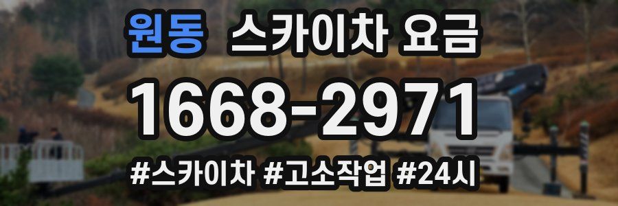 원동 스카이차 요금