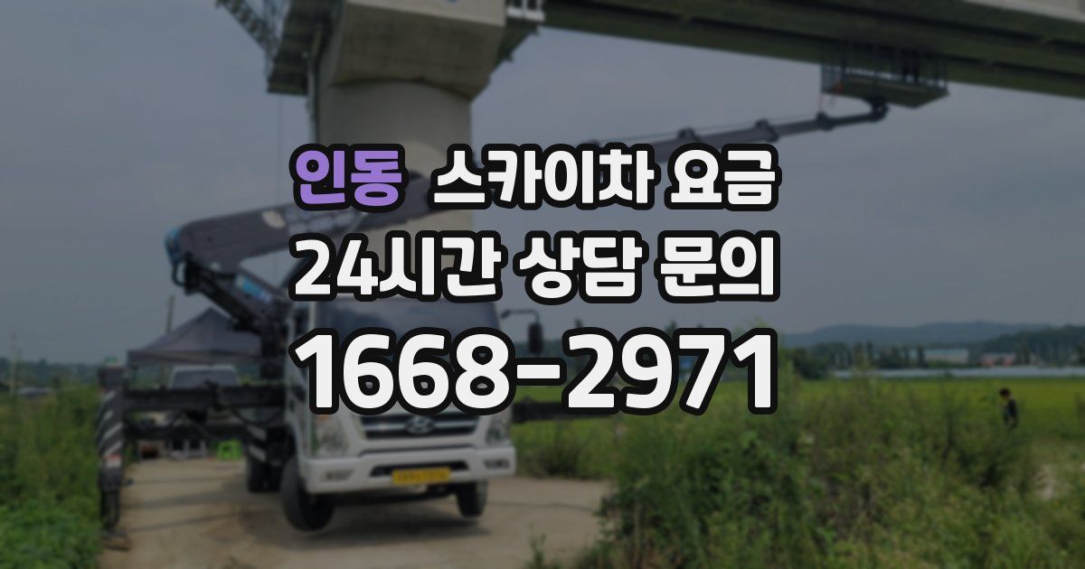 인동 스카이차 요금