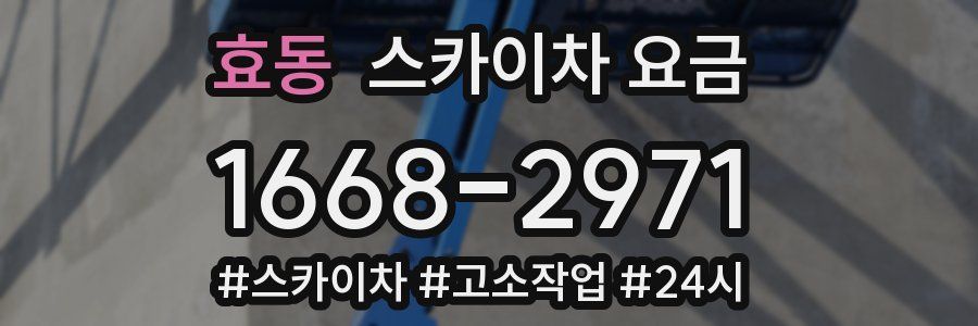 효동 스카이차 요금