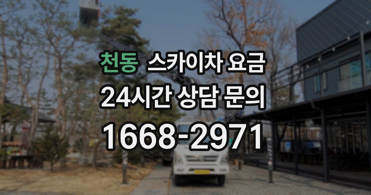 천동 스카이차 요금