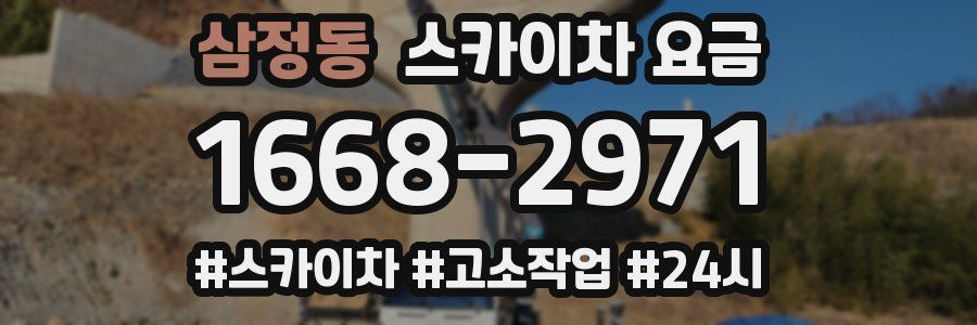 삼정동 스카이차 요금