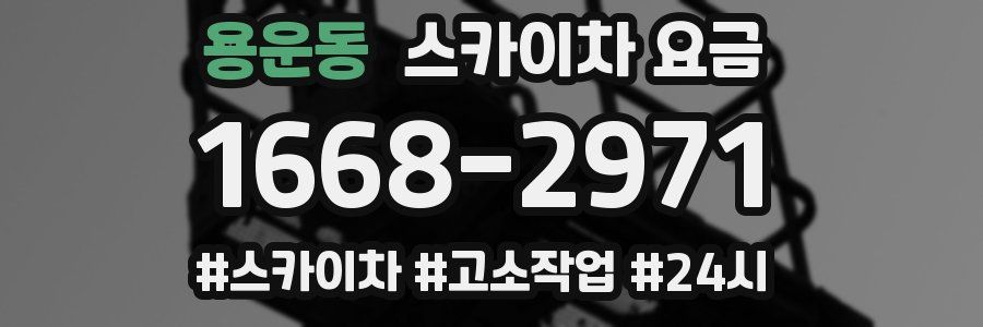 용운동 스카이차 요금