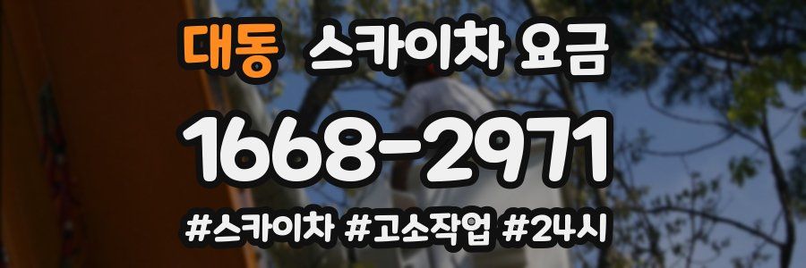 대동 스카이차 요금