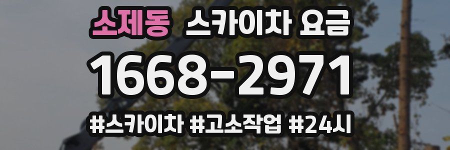 소제동 스카이차 요금