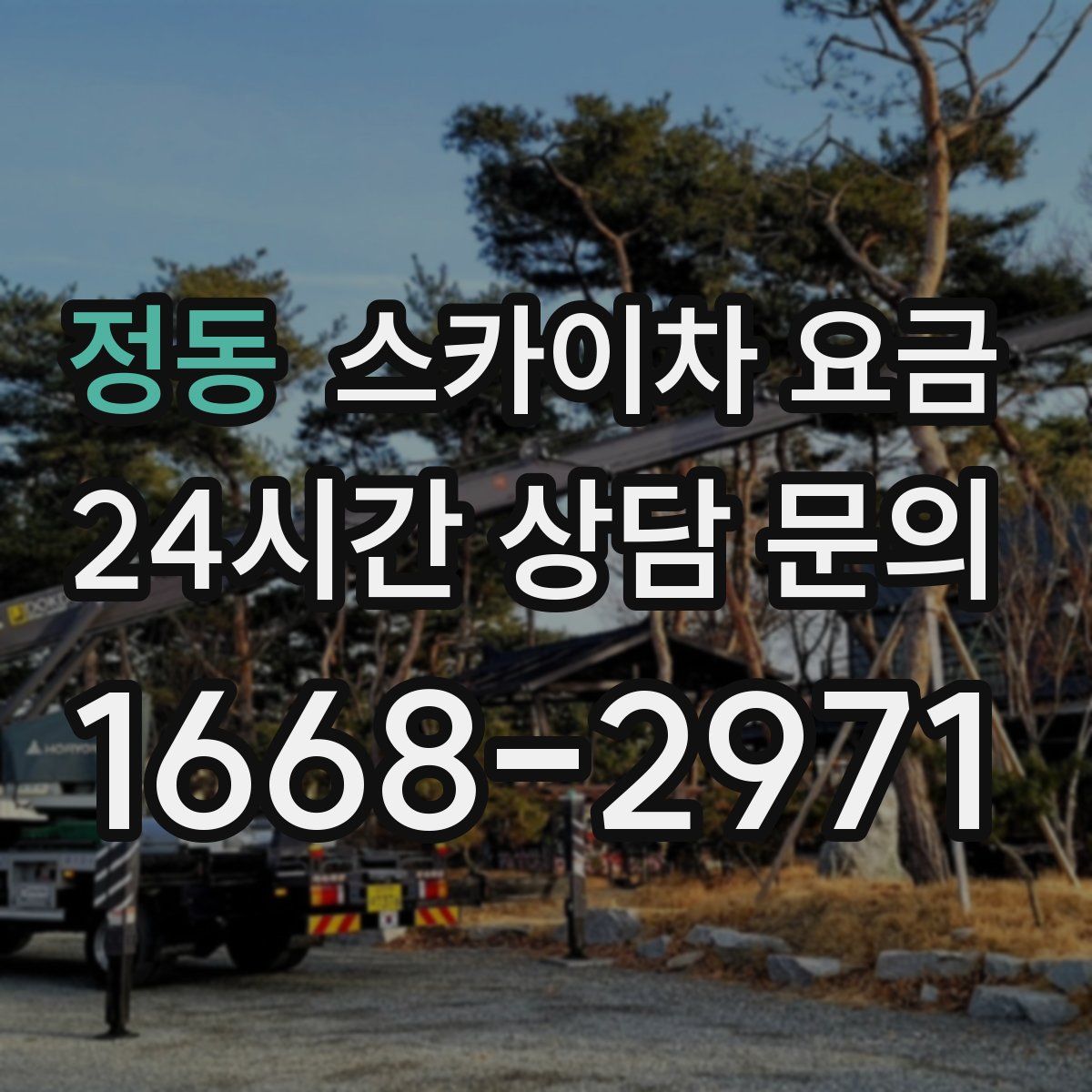 정동 스카이차 요금