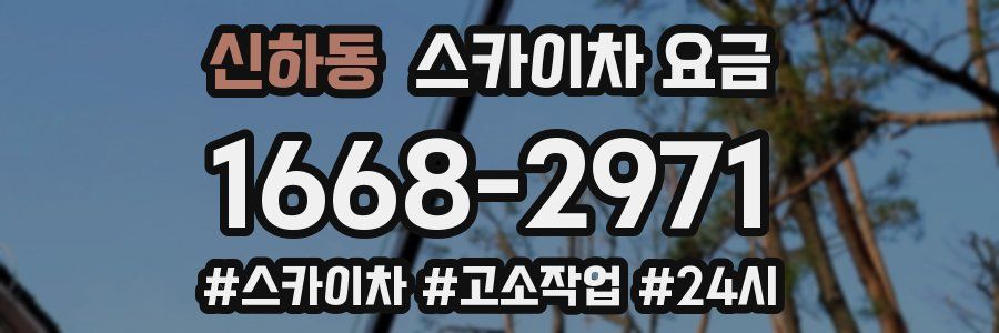 신하동 스카이차 요금