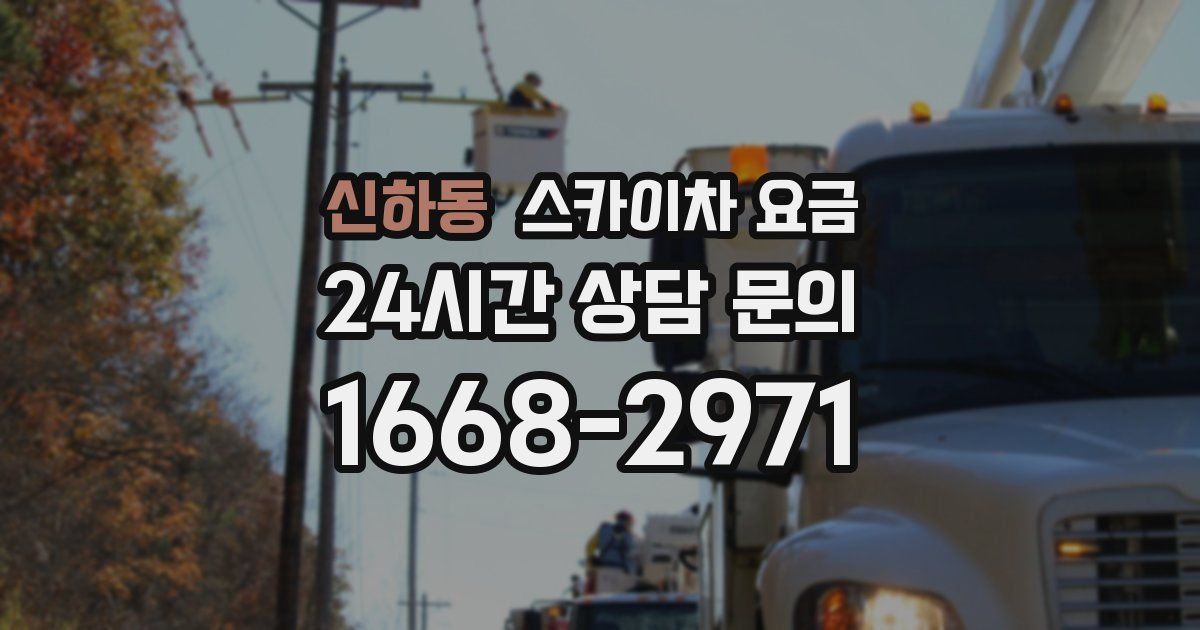 신하동 스카이차 요금
