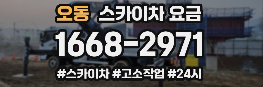 오동 스카이차 요금