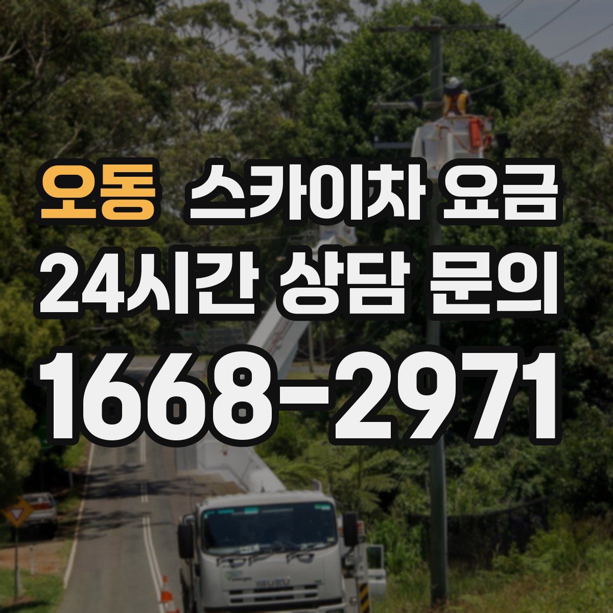 오동 스카이차 요금