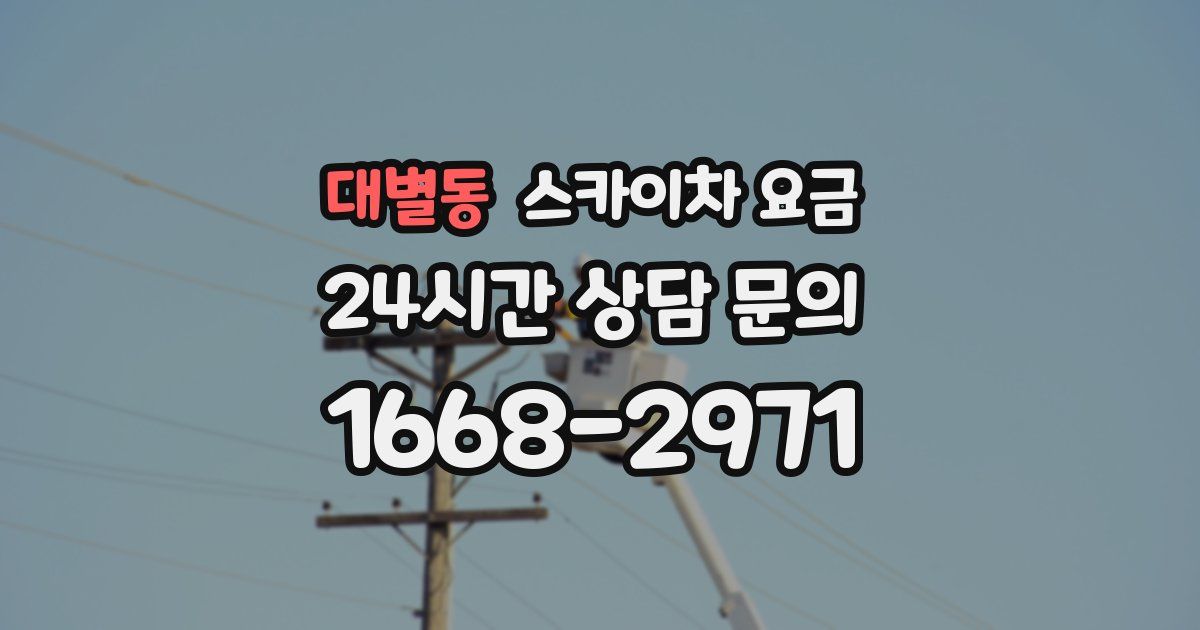 대별동 스카이차 요금