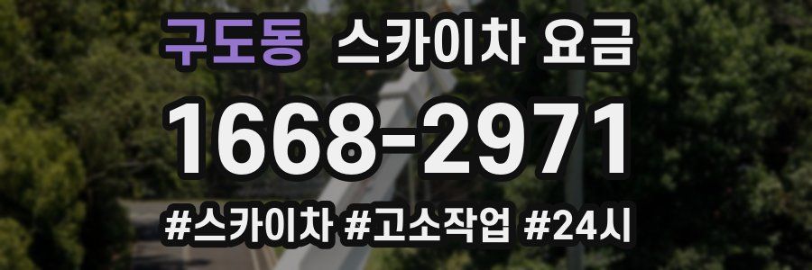 구도동 스카이차 요금