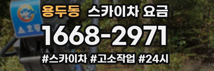 용두동 스카이차 요금