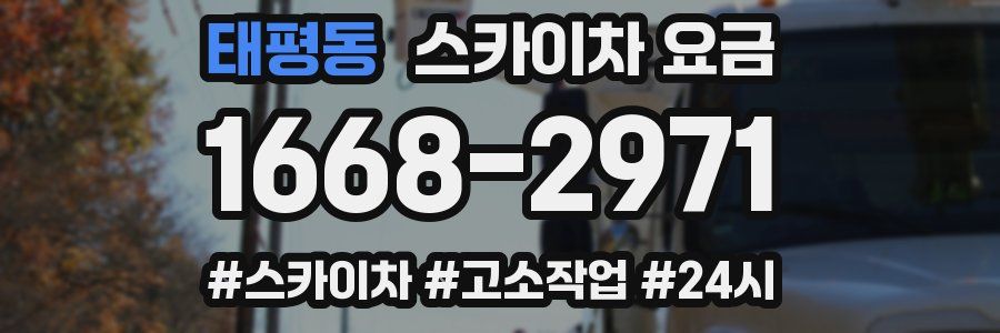 태평동 스카이차 요금