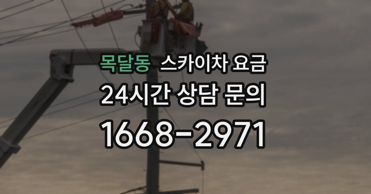 목달동 스카이차 요금