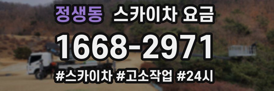 정생동 스카이차 요금