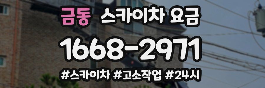 금동 스카이차 요금