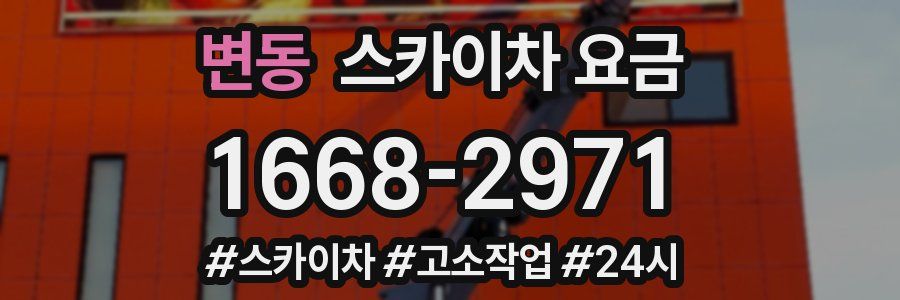 변동 스카이차 요금