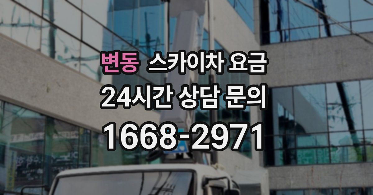 변동 스카이차 요금