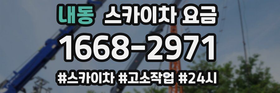 내동 스카이차 요금