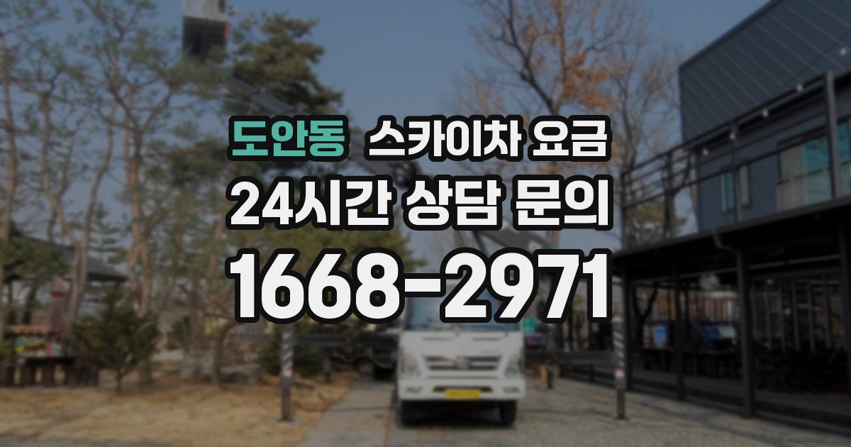 도안동 스카이차 요금