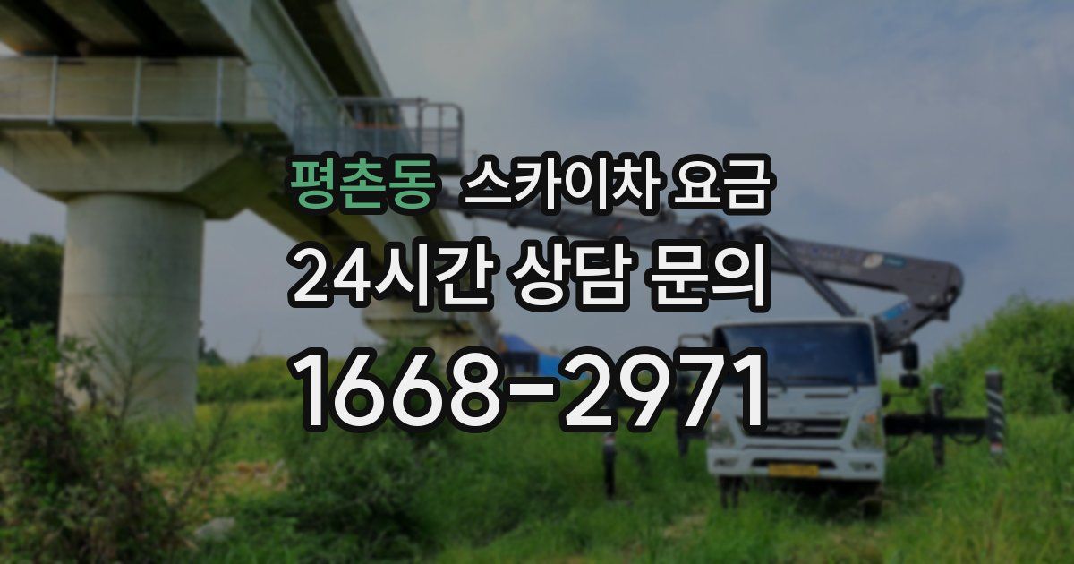 평촌동 스카이차 요금