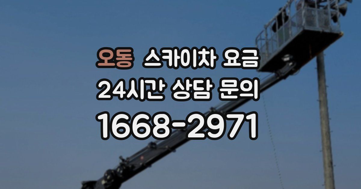 오동 스카이차 요금