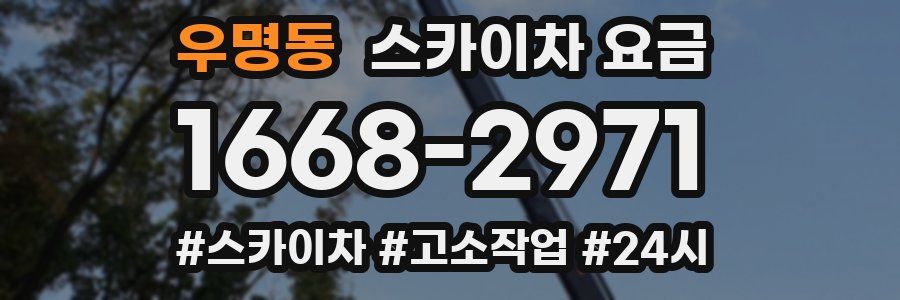 우명동 스카이차 요금