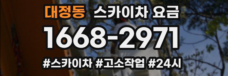 대정동 스카이차 요금