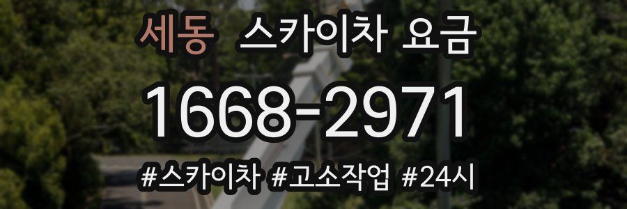 세동 스카이차 요금