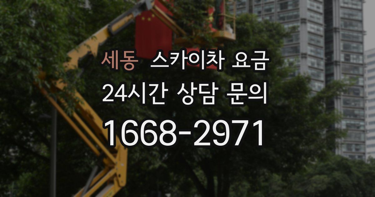 세동 스카이차 요금