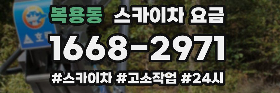 복용동 스카이차 요금