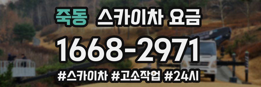 죽동 스카이차 요금