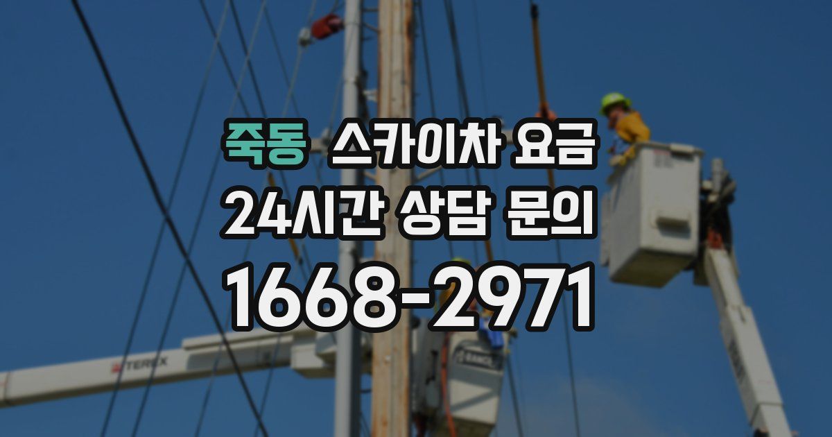 죽동 스카이차 요금