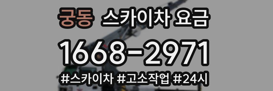 궁동 스카이차 요금
