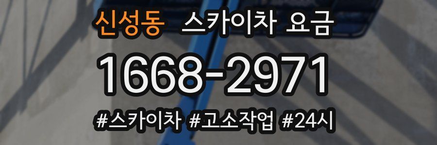 신성동 스카이차 요금