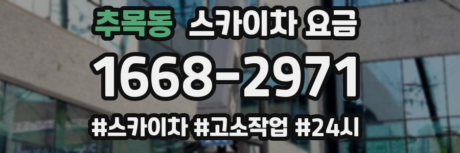 추목동 스카이차 요금