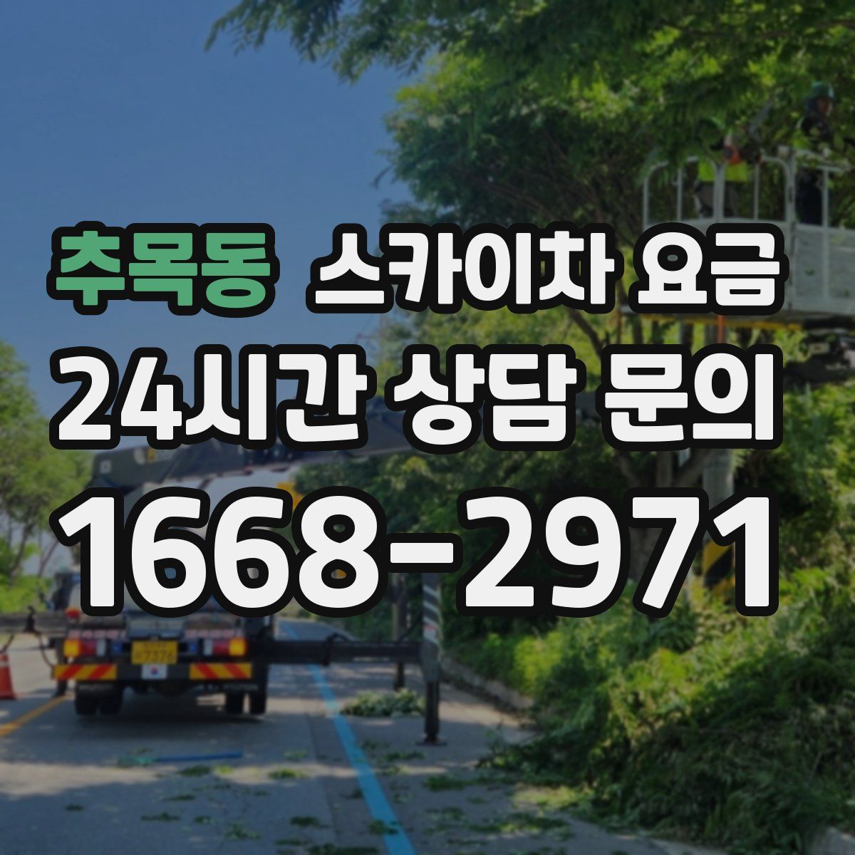 추목동 스카이차 요금