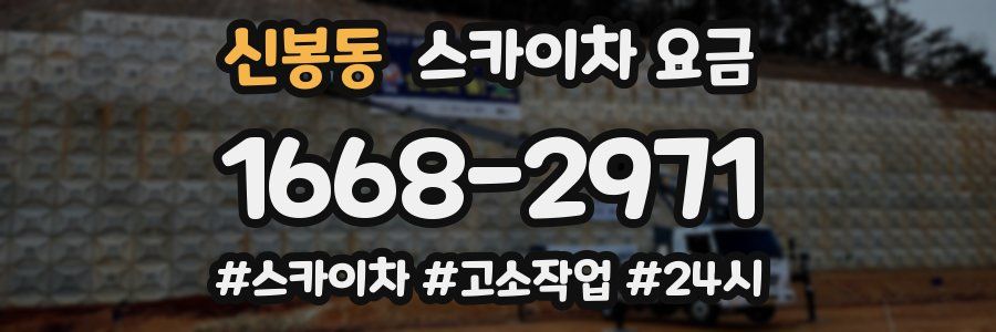 신봉동 스카이차 요금