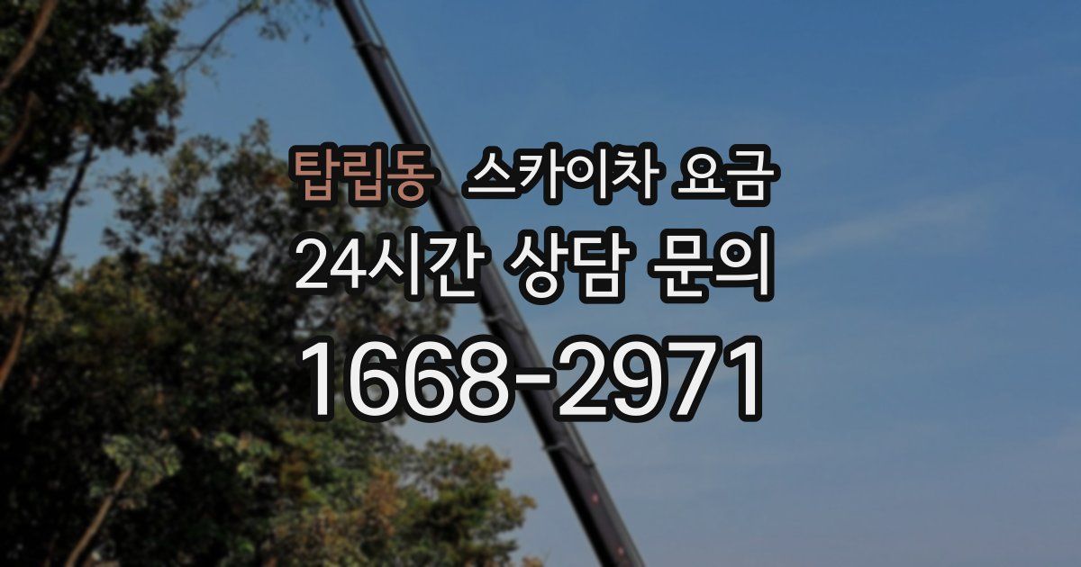 탑립동 스카이차 요금