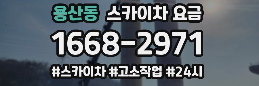 용산동 스카이차 요금