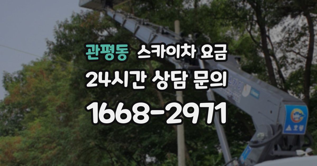 관평동 스카이차 요금
