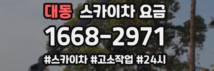 대동 스카이차 요금
