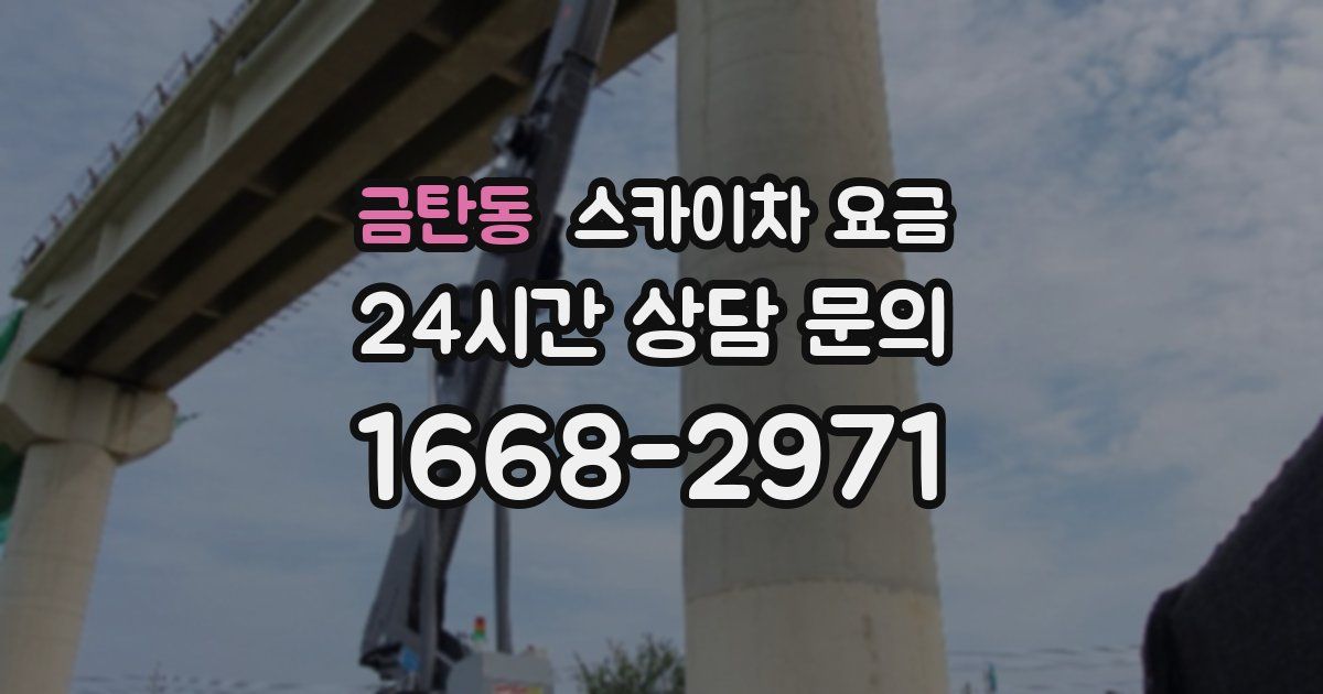 금탄동 스카이차 요금