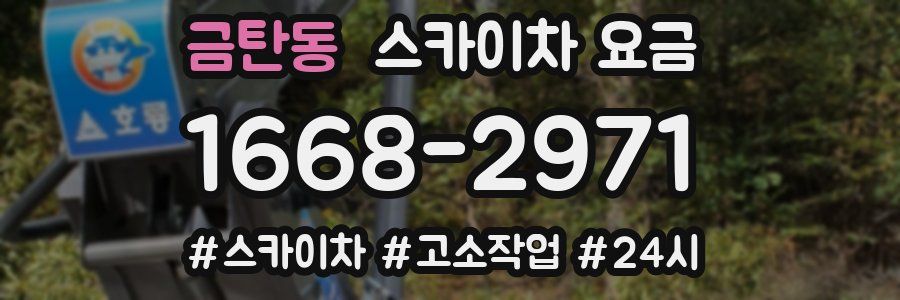 금탄동 스카이차 요금