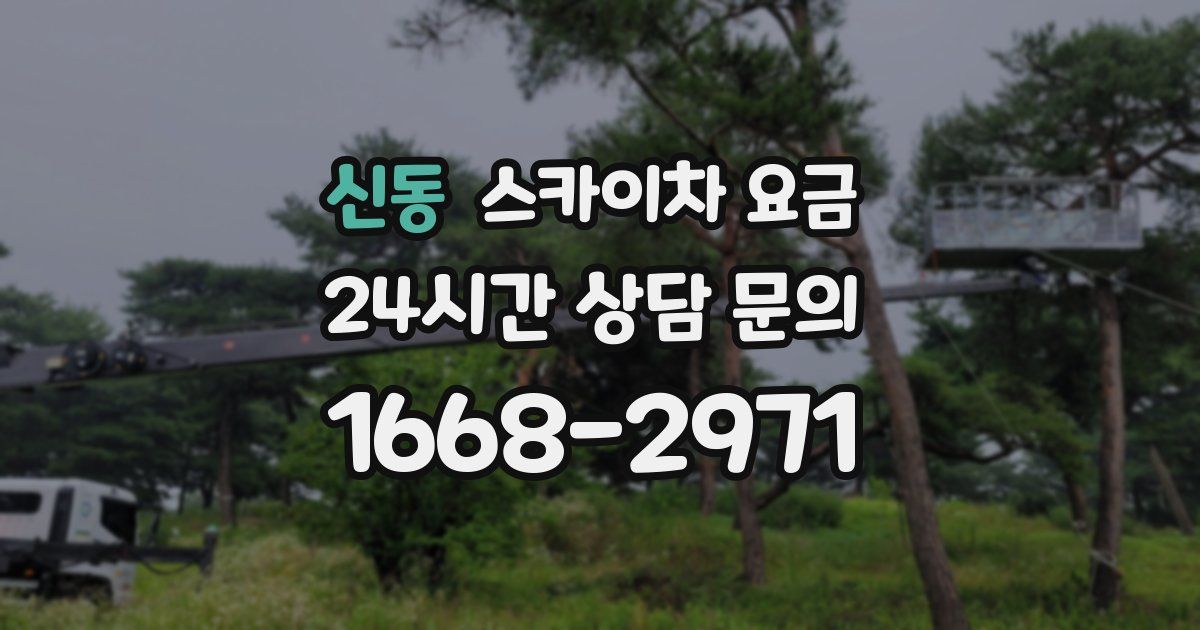 신동 스카이차 요금