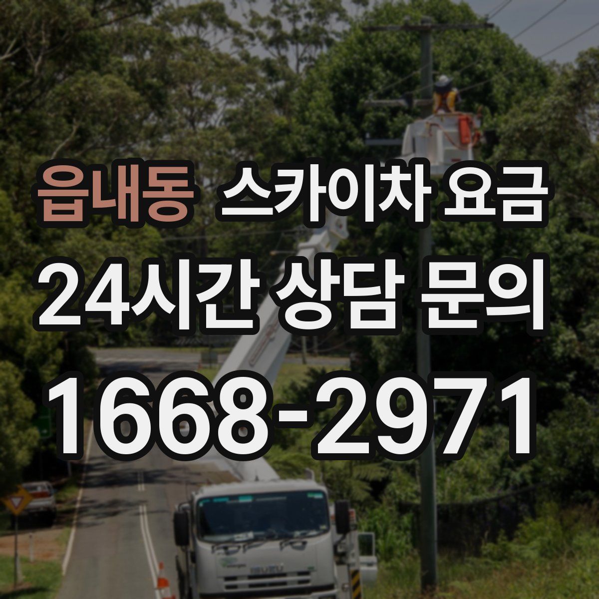 읍내동 스카이차 요금