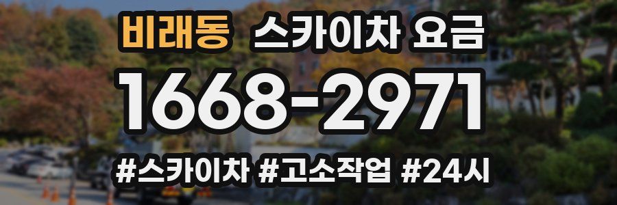 비래동 스카이차 요금