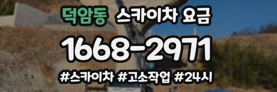 덕암동 스카이차 요금