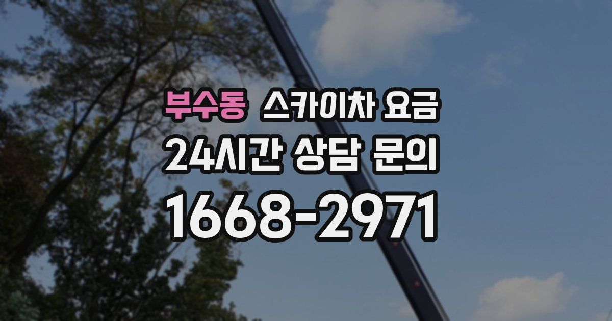 부수동 스카이차 요금